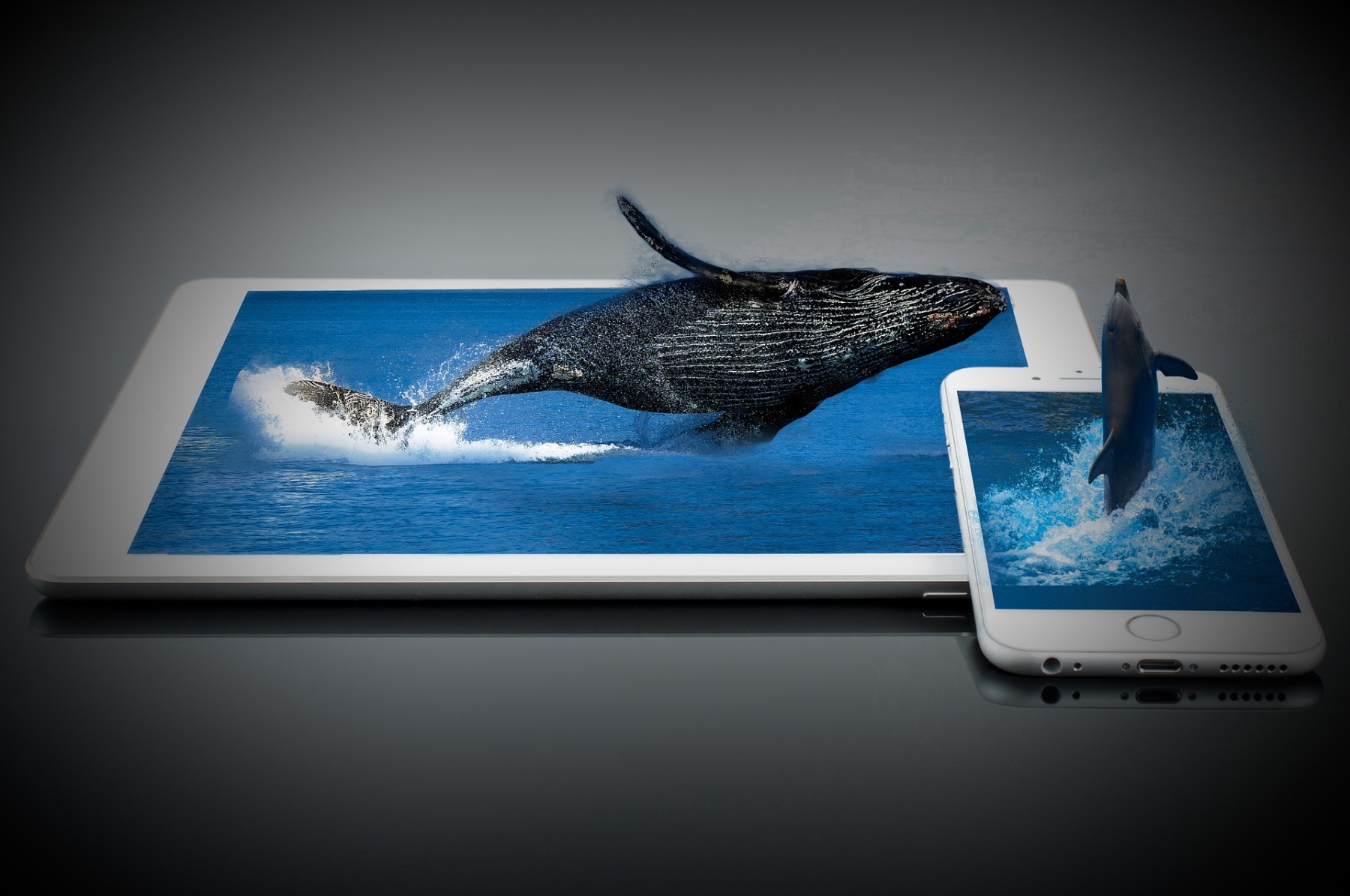 big-fish